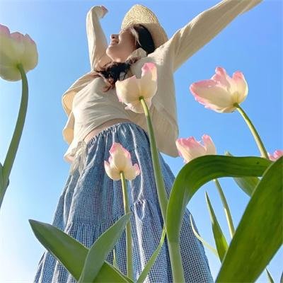 神探蒲松龄国语