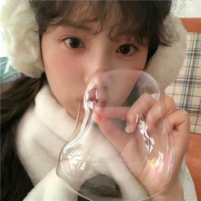 寻找酷巴熊