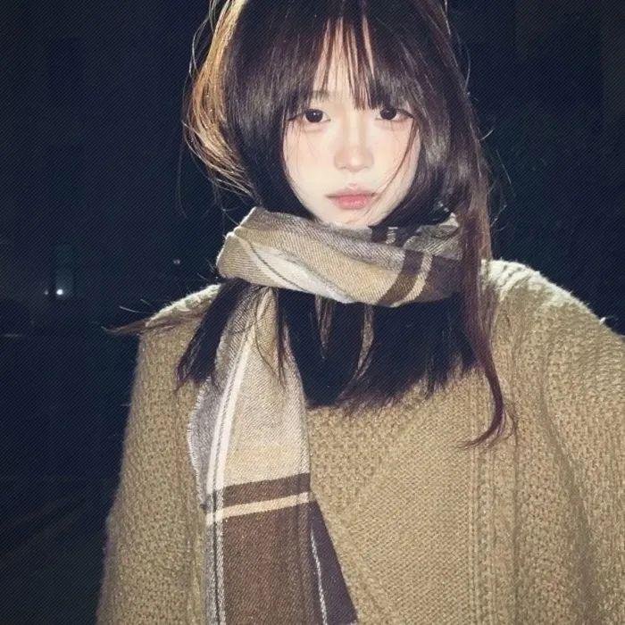 双生赤狐